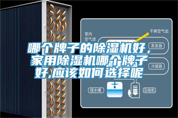 哪個(gè)牌子的除濕機(jī)好,家用除濕機(jī)哪個(gè)牌子好,應(yīng)該如何選擇呢