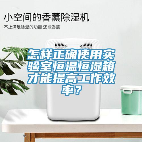 怎樣正確使用實驗室恒溫恒濕箱才能提高工作效率？
