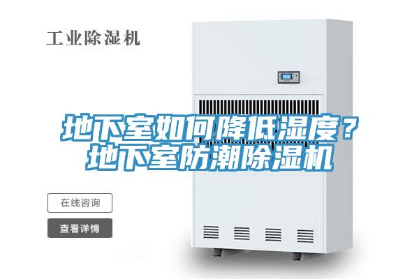 地下室如何降低濕度？地下室防潮除濕機