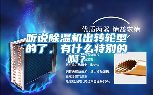 聽說除濕機出轉輪型的了，有什么特別的啊？