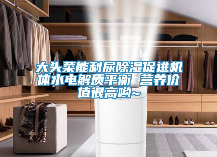 大頭菜能利尿除濕促進(jìn)機(jī)體水電解質(zhì)平衡 營養(yǎng)價(jià)值很高喲~