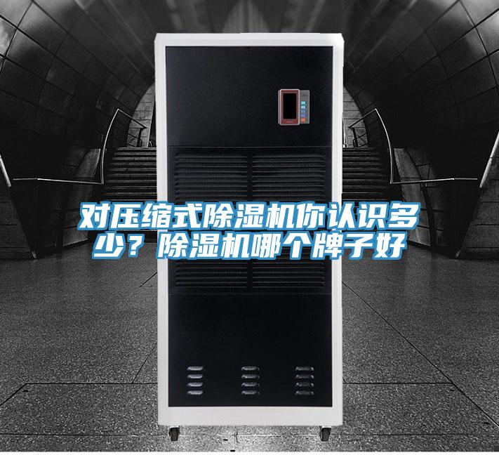 對(duì)壓縮式除濕機(jī)你認(rèn)識(shí)多少？除濕機(jī)哪個(gè)牌子好