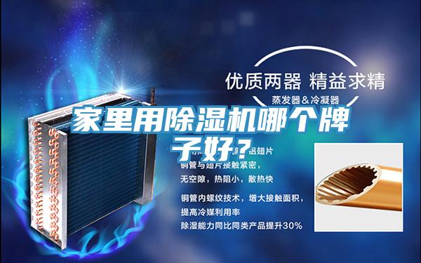 家里用除濕機(jī)哪個牌子好？