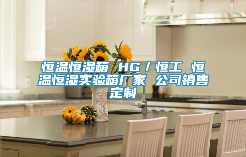 恒溫恒濕箱 HG/恒工 恒溫恒濕實驗箱廠家 公司銷售定制