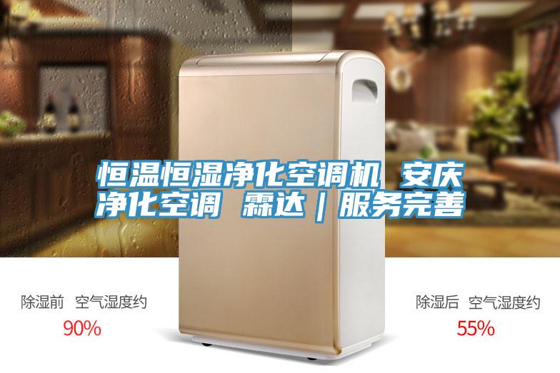 恒溫恒濕凈化空調(diào)機 安慶凈化空調(diào) 霖達(dá)｜服務(wù)完善