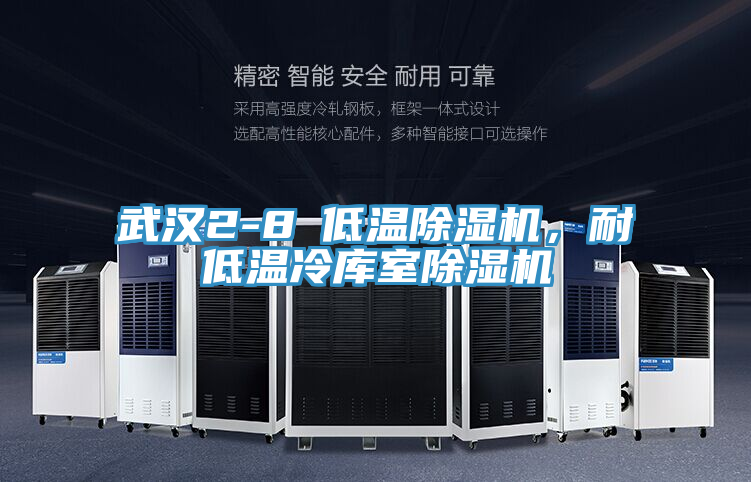 武漢2-8℃低溫除濕機(jī)，耐低溫冷庫室除濕機(jī)