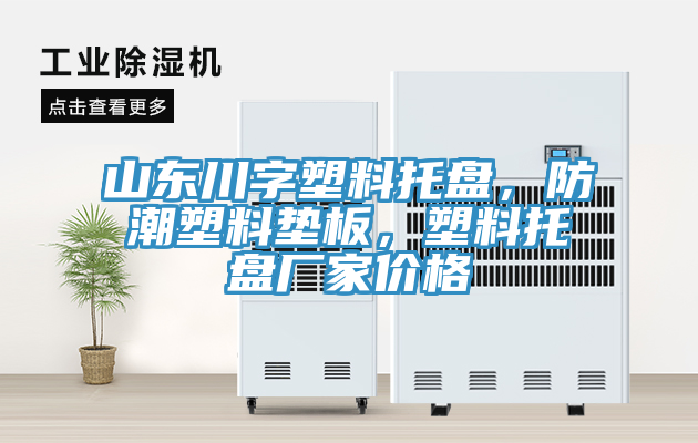 山東川字塑料托盤，防潮塑料墊板，塑料托盤廠家價格