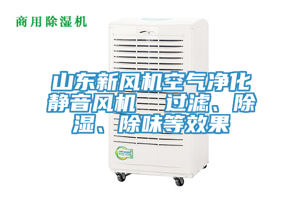 山東新風機空氣凈化靜音風機  過濾、除濕、除味等效果
