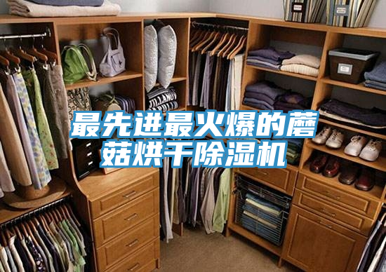最先進(jìn)最火爆的蘑菇烘干除濕機(jī)
