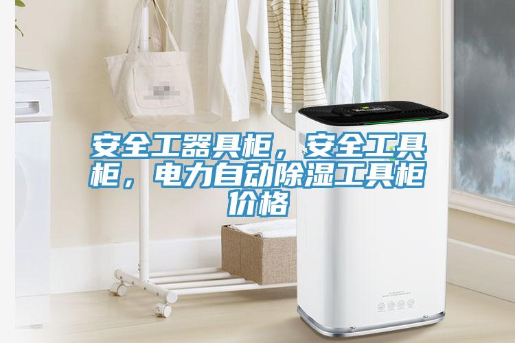 安全工器具柜，安全工具柜，電力自動除濕工具柜價(jià)格