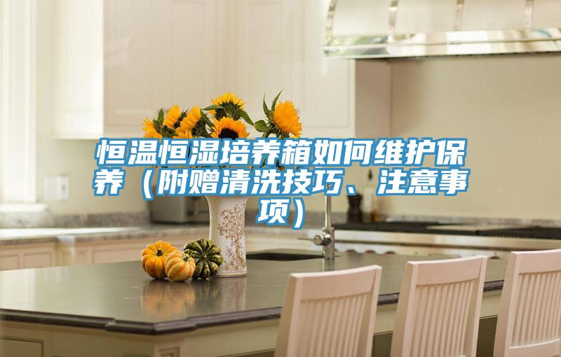 恒溫恒濕培養箱如何維護保養(附贈清洗技巧、注意事項)