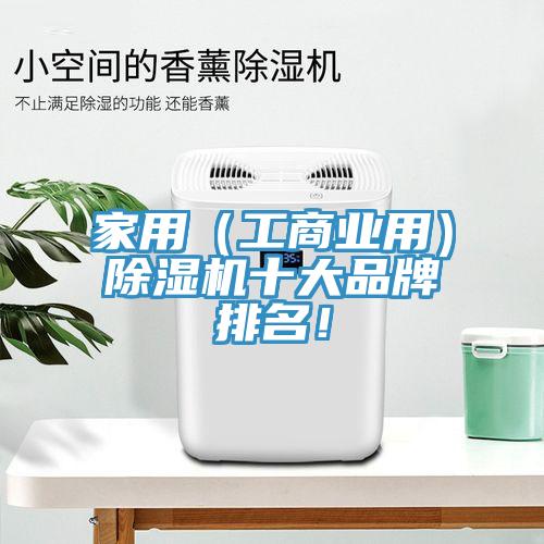 家用（工商業(yè)用）除濕機十大品牌排名！