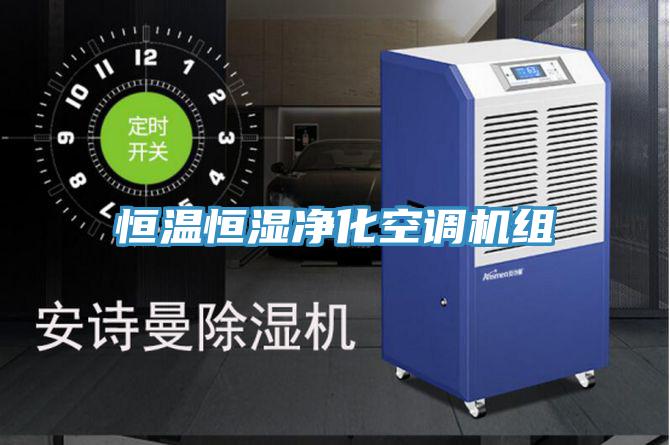 恒溫恒濕凈化空調(diào)機組