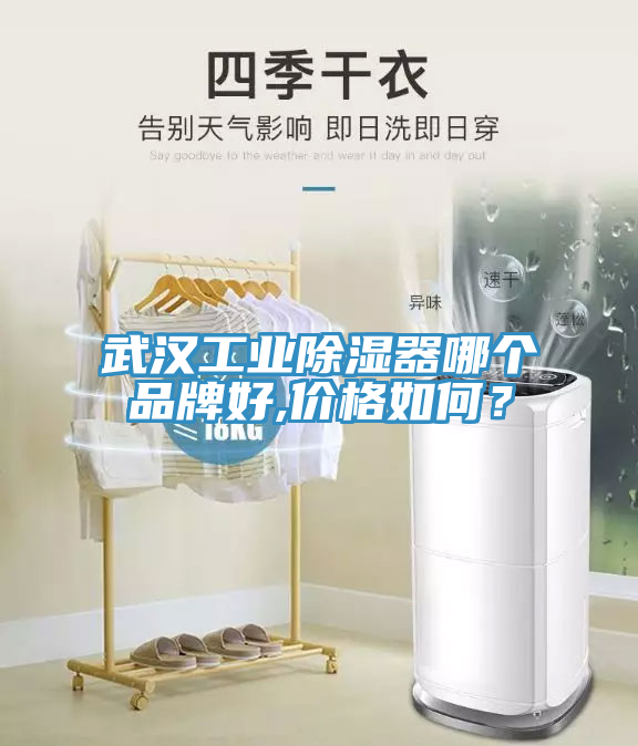 武漢工業(yè)除濕器哪個(gè)品牌好,價(jià)格如何？