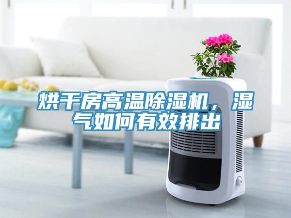 烘干房高溫除濕機，濕氣如何有效排出