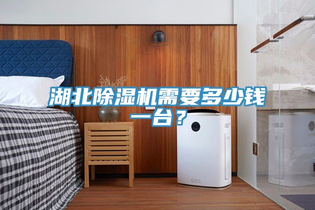 湖北除濕機需要多少錢一臺？