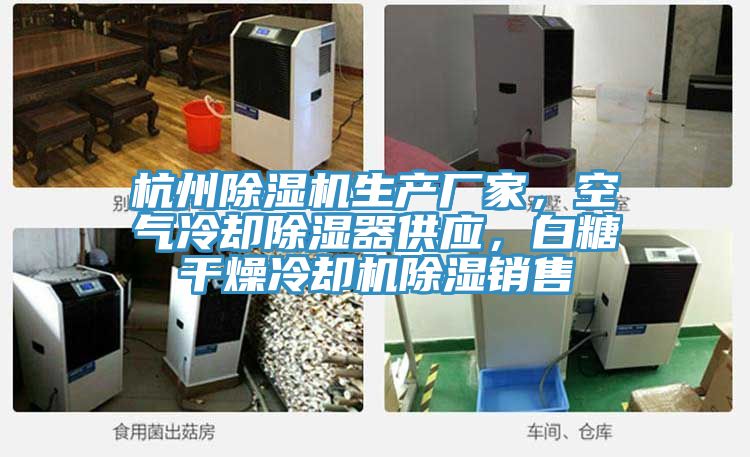 杭州除濕機生產廠家,空氣冷卻除濕器供應,白糖干燥冷卻機除濕銷售
