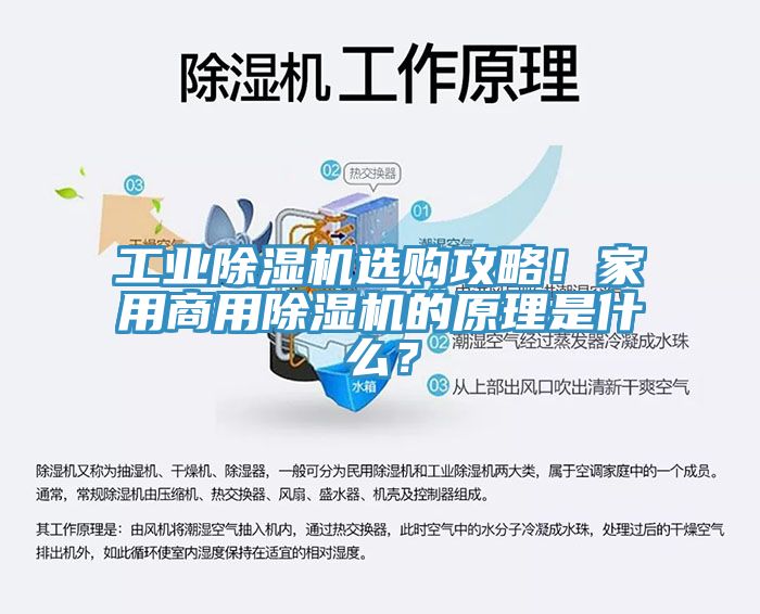 工業(yè)除濕機選購攻略！家用商用除濕機的原理是什么？