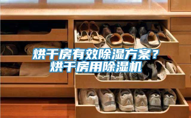 烘干房有效除濕方案？烘干房用除濕機