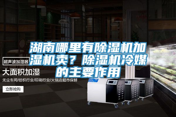 湖南哪里有除濕機加濕機賣？除濕機冷媒的主要作用