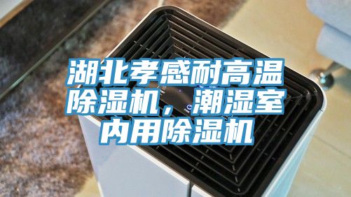 湖北孝感耐高溫除濕機，潮濕室內用除濕機