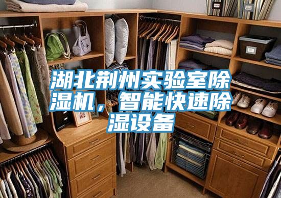 湖北荊州實驗室除濕機，智能快速除濕設備
