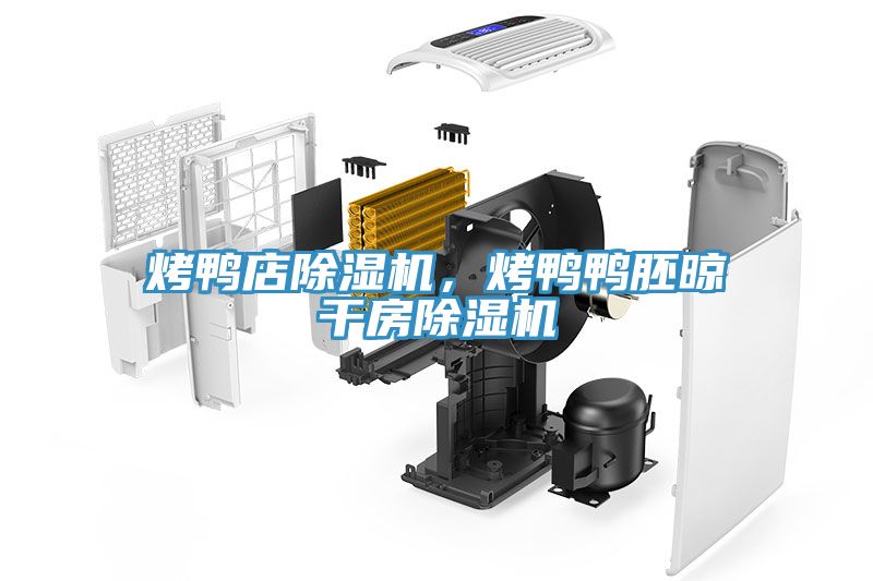 烤鴨店除濕機，烤鴨鴨胚晾干房除濕機