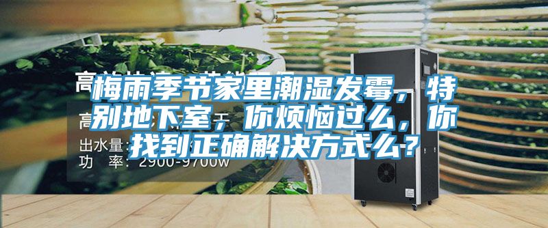 梅雨季節(jié)家里潮濕發(fā)霉，特別地下室，你煩惱過么，你找到正確解決方式么？