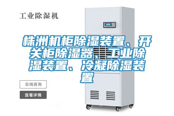 株洲機柜除濕裝置、開關柜除濕器、工業除濕裝置、冷凝除濕裝置