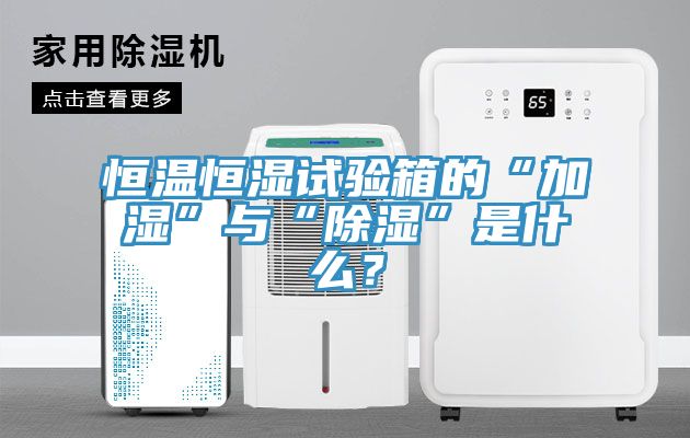 恒溫恒濕試驗箱的“加濕”與“除濕”是什么？