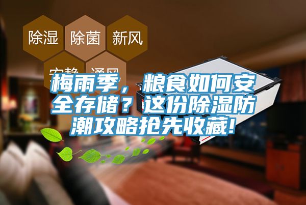梅雨季，糧食如何安全存儲(chǔ)？這份除濕防潮攻略搶先收藏!
