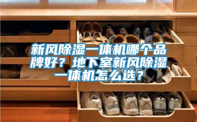 新風除濕一體機哪個品牌好？地下室新風除濕一體機怎么選？
