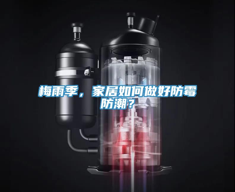 梅雨季，家居如何做好防霉防潮？