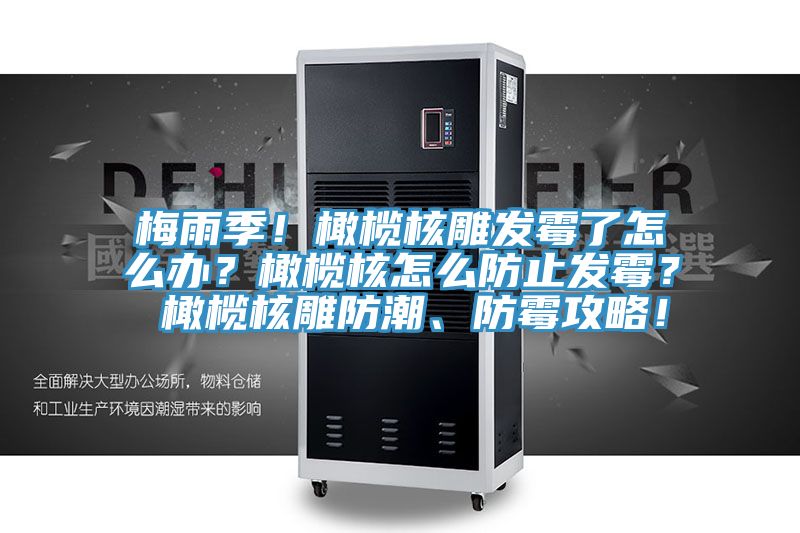 梅雨季！橄欖核雕發(fā)霉了怎么辦？橄欖核怎么防止發(fā)霉？ 橄欖核雕防潮、防霉攻略！