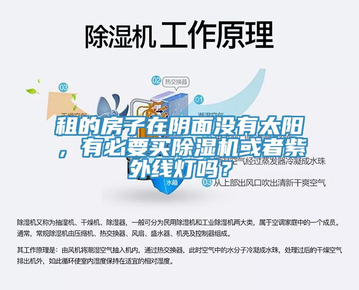 租的房子在陰面沒有太陽(yáng)，有必要買除濕機(jī)或者紫外線燈嗎？