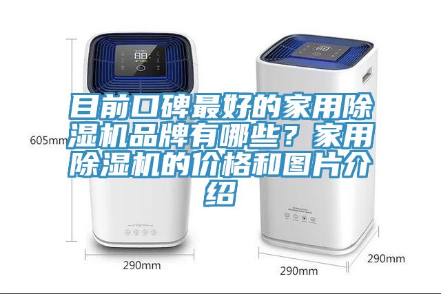 目前口碑最好的家用除濕機品牌有哪些？家用除濕機的價格和圖片介紹