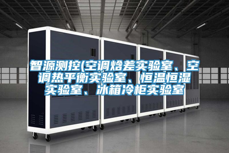 智源測控(空調(diào)焓差實驗室、空調(diào)熱平衡實驗室、恒溫恒濕實驗室、冰箱冷柜實驗室