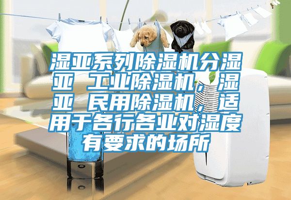 濕亞系列除濕機(jī)分濕亞 工業(yè)除濕機(jī)，濕亞 民用除濕機(jī)，適用于各行各業(yè)對(duì)濕度有要求的場(chǎng)所