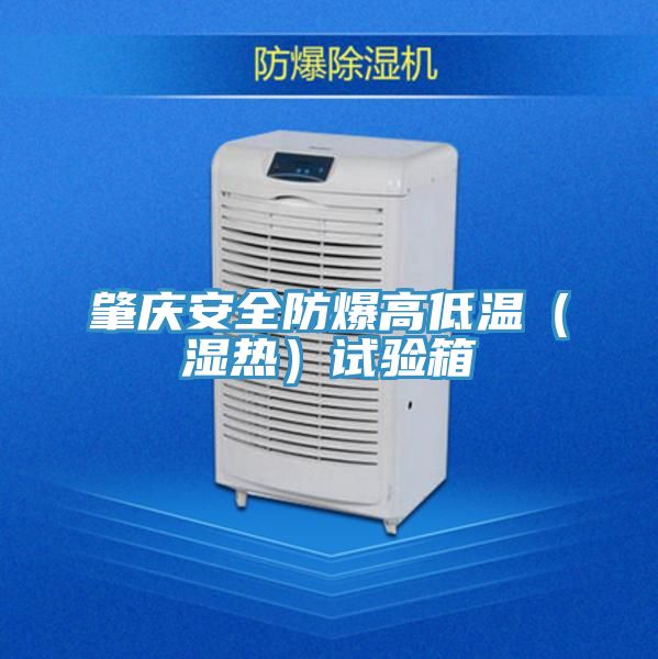 肇慶安全防爆高低溫(濕熱)試驗(yàn)箱