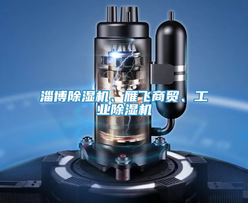 淄博除濕機、雁飛商貿、工業除濕機