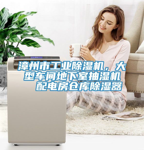 漳州市工業(yè)除濕機(jī)，大型車間地下室抽濕機(jī)  配電房倉(cāng)庫(kù)除濕器