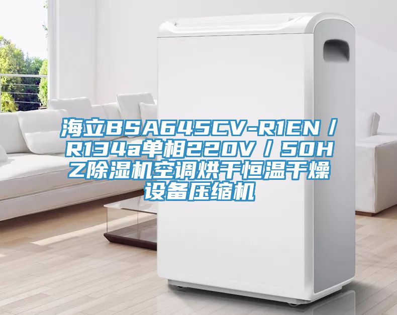 海立BSA645CV-R1EN/R134a單相220V/50HZ除濕機(jī)空調(diào)烘干恒溫干燥設(shè)備壓縮機(jī)