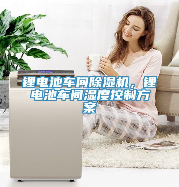 鋰電池車間除濕機，鋰電池車間濕度控制方案
