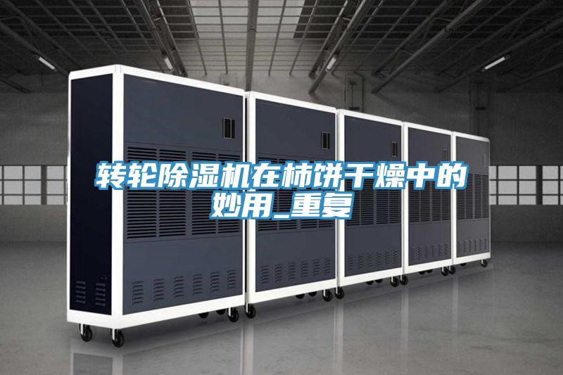 轉輪除濕機在柿餅干燥中的妙用_重復