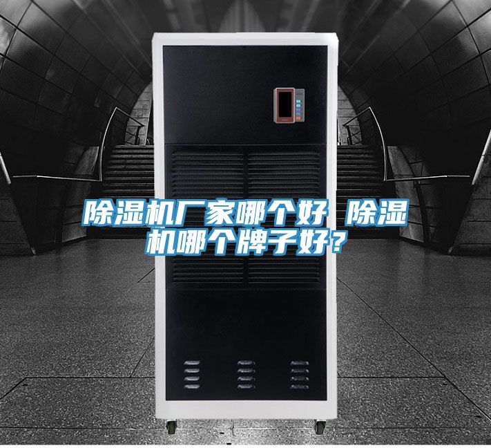 除濕機廠家哪個好 除濕機哪個牌子好？