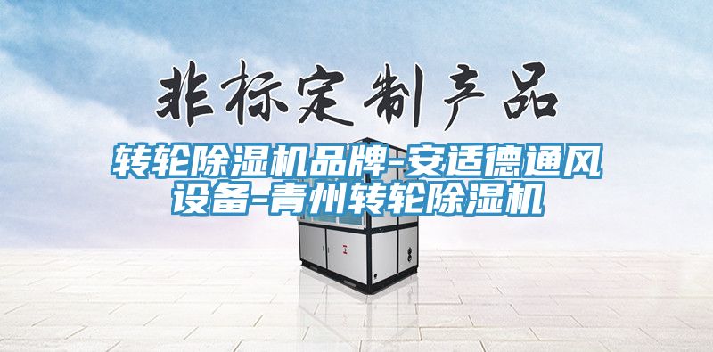 轉輪除濕機品牌-安適德通風設備-青州轉輪除濕機