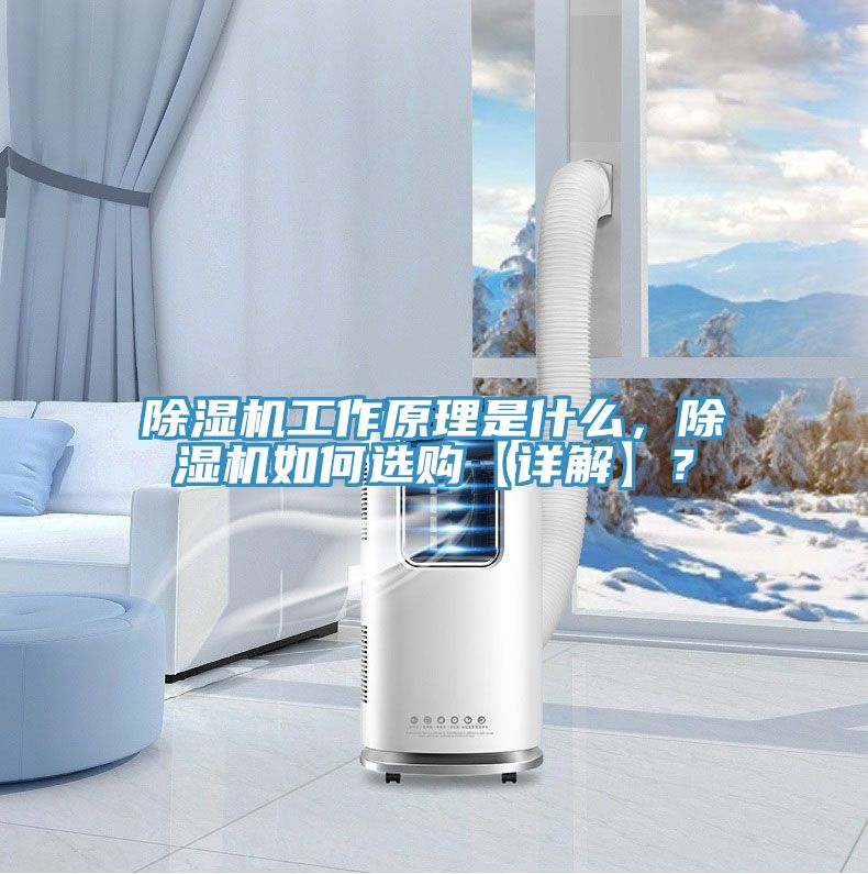 除濕機(jī)工作原理是什么，除濕機(jī)如何選購【詳解】？