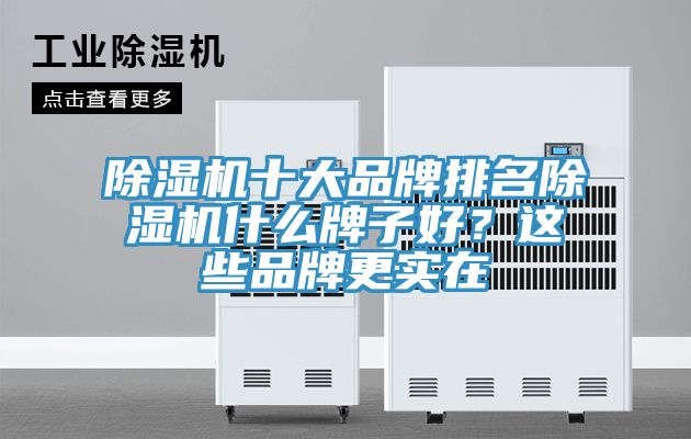 除濕機十大品牌排名除濕機什么牌子好?這些品牌更實在