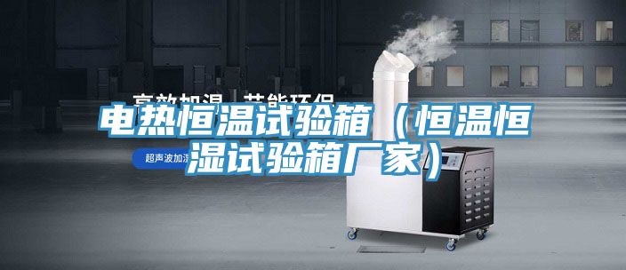 電熱恒溫試驗箱(恒溫恒濕試驗箱廠家)