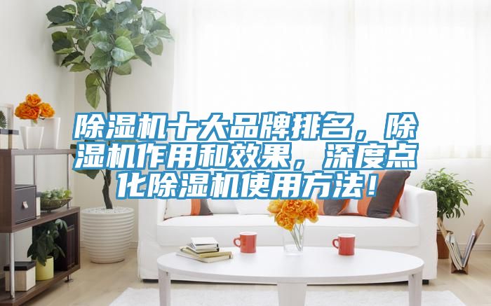 除濕機十大品牌排名,除濕機作用和效果,深度點化除濕機使用方法!